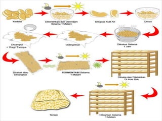 Tempe.ppt