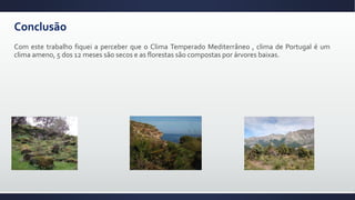 Conclusão
Com este trabalho fiquei a perceber que o Clima Temperado Mediterrâneo , clima de Portugal é um
clima ameno, 5 dos 12 meses são secos e as florestas são compostas por árvores baixas.
 