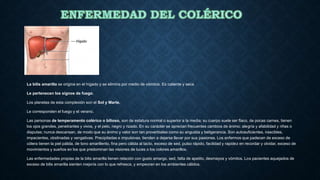 La bilis amarilla se origina en el hígado y se elimina por medio de vómitos. Es caliente y seca
Le pertenecen los signos de fuego.
Los planetas de esta complexión son el Sol y Marte.
Le corresponden el fuego y el verano.
Las personas de temperamento colérico o bilioso, son de estatura normal o superior a la media; su cuerpo suele ser flaco, de pocas carnes, tienen
los ojos grandes, penetrantes y vivos, y el pelo, negro y rizado. En su carácter se aprecian frecuentes cambios de ánimo: alegría y afabilidad y riñas o
disputas; nunca descansan, de modo que su ánimo y valor son tan proverbiales como su angustia y beligerancia. Son autosuficientes, irascibles,
impacientes, obstinadas y vengativas. Precipitadas e impulsivas, tienden a dejarse llevar por sus pasiones. Los enfermos que padecen de exceso de
cólera tienen la piel pálida, de tono amarillento, fina pero cálida al tacto, exceso de sed, pulso rápido, facilidad y rapidez en recordar y olvidar, exceso de
movimientos y sueños en los que predominan las visiones de luces o los colores amarillos.
Las enfermedades propias de la bilis amarilla tienen relación con gusto amargo, sed, falta de apetito, desmayos y vómitos. Los pacientes aquejados de
exceso de bilis amarilla sienten mejoría con lo que refresca, y empeoran en los ambientes cálidos.
 