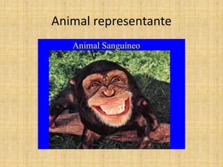 Animal representante
 