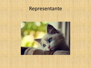 Representante
 