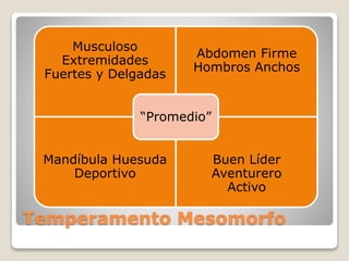 Musculoso 
Extremidades 
Fuertes y Delgadas 
Abdomen Firme 
Hombros Anchos 
“Promedio” 
Mandíbula Huesuda 
Deportivo 
Buen Líder 
Aventurero 
Activo 
Temperamento Mesomorfo 
 