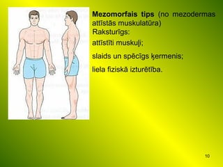 10
Mezomorfais tips (no mezodermas
attīstās muskulatūra)
Raksturīgs:
attīstīti muskuļi;
slaids un spēcīgs ķermenis;
liela fiziskā izturētība.
 