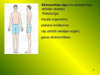 9
Ektomorfais tips (no ektodermas
attīstās skelets)
Raksturīgs:
trausls organisms;
plakans krūškurvis;
vāji attīstīti iekšējie orgāni;
garas ekstremitātes;
 