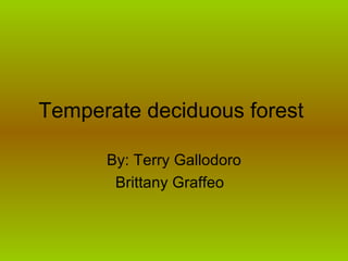 Temperate deciduous forest  By: Terry Gallodoro Brittany Graffeo  