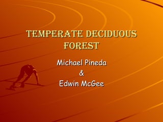 Temperate Deciduous Forest Michael Pineda & Edwin McGee 