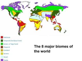 Temperate Grassland Biome Map