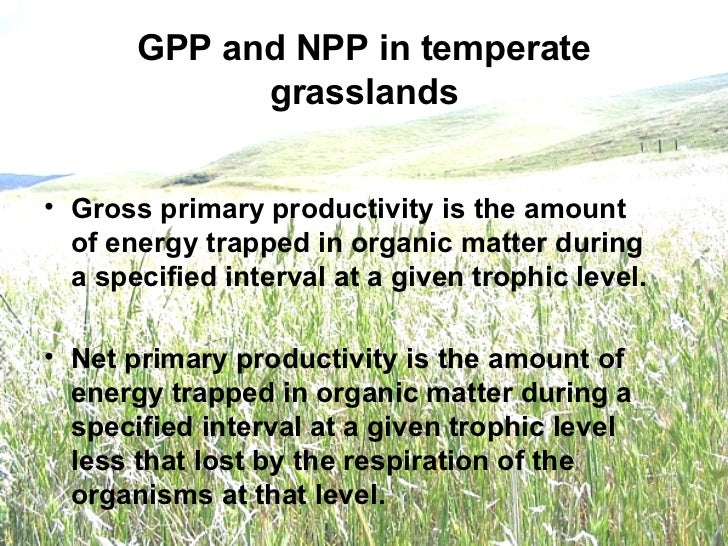 Temperate Grasslands