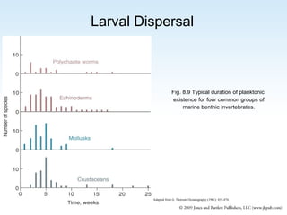 Larval Dispersal

Fig. 8.9 Typical duration of planktonic
existence for four common groups of
marine benthic invertebrates.

Adapted from G. Thorson. Oceanography (1961): 455-474.

 