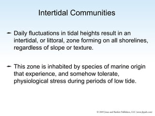 Intertidal Communities
 Daily fluctuations in tidal heights result in an
intertidal, or littoral, zone forming on all shorelines,
regardless of slope or texture.
 This zone is inhabited by species of marine origin
that experience, and somehow tolerate,
physiological stress during periods of low tide.

 