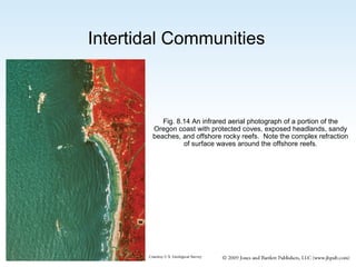 Intertidal Communities

Fig. 8.14 An infrared aerial photograph of a portion of the
Oregon coast with protected coves, exposed headlands, sandy
beaches, and offshore rocky reefs. Note the complex refraction
of surface waves around the offshore reefs.

Courtesy U.S. Geological Survey

 
