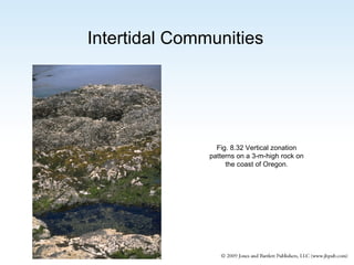 Intertidal Communities

Fig. 8.32 Vertical zonation
patterns on a 3-m-high rock on
the coast of Oregon.

 