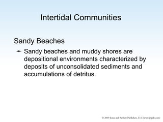 Intertidal Communities
Sandy Beaches
 Sandy beaches and muddy shores are
depositional environments characterized by
deposits of unconsolidated sediments and
accumulations of detritus.

 