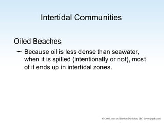 Intertidal Communities
Oiled Beaches
 Because oil is less dense than seawater,
when it is spilled (intentionally or not), most
of it ends up in intertidal zones.

 