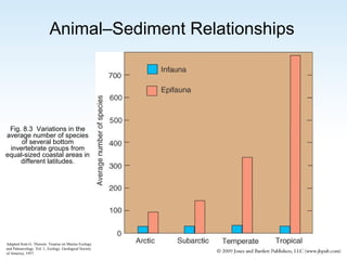 Animal–Sediment Relationships

Fig. 8.3 Variations in the
average number of species
of several bottom
invertebrate groups from
equal-sized coastal areas in
different latitudes.

Adapted from G. Thorson. Treatise on Marine Ecology
and Paleoecology. Vol. I., Ecology. Geological Society
of America, 1957.

 
