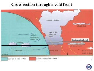 Cross section through a cold front

 
