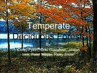 Temperate  Deciduous Forest: By: Corey Fylnn, Nicki Gustafson, Jordan Link, Peter Mayer, Ricky Snow   