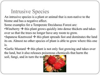 Intrusive Species
An intrusive species is a plant or animal that is non-native to the
biome and has a negative affect.
Some examples for a Temperate Deciduous Forest are:
•Wineberry  this plant grows quickly into dense thickets and takes
over so that the trees no longer have any room to grow.
•Japanese Knotweed  this plant spreads fast and dominates the land
its on. Almost no other species of plant is able to grow where this one
is.
•Garlic Mustard  this plant is not only fast growing and takes over
the land, but it also releases poisonous chemicals that harm the
soil, fungi, and in turn the trees.

 