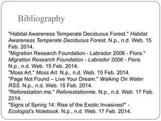 Bibliography
"Habitat Awareness Temperate Deciduous Forest." Habitat
Awareness Temperate Deciduous Forest. N.p., n.d. Web. 15
Feb. 2014.
"Migration Research Foundation - Labrador 2006 - Flora."
Migration Research Foundation - Labrador 2006 - Flora.
N.p., n.d. Web. 15 Feb. 2014.
"Moss Art." Moss Art. N.p., n.d. Web. 15 Feb. 2014.
"Page Not Found – Live Your Dream." Walking On Water
RSS. N.p., n.d. Web. 15 Feb. 2014.
"Reforestation.me." Reforestationme. N.p., n.d. Web. 17 Feb.
2014.
"Signs of Spring 14: Rise of the Exotic Invasives!" Ecologist's Notebook. N.p., n.d. Web. 17 Feb. 2014.

 
