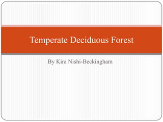 Temperate Deciduous Forest
By Kira Nishi-Beckingham

 