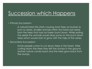 Succession which Happens
• Primary Succession:
A natural forest fire starts causing most trees an bushes to
burn to ashes. Smaller animals within the forest eat seeds
from the trees that had not been burnt down. While eating
the seeds the animals would drop some on the burnt down
trees which would start to grow with the help of the ashes.
• Secondary Succession:
Some people come to cut down trees in the forest. After
cutting down the trees they left the stumps in the ground.
Mother nature comes back and the trees grow back from
the stumps.

 