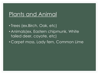 Plants and Animal
• Trees (ex.Birch, Oak, etc)
• Animals(ex. Eastern chipmunk, White
tailed deer, coyote, etc)
• Carpet moss, Lady fern, Common Lime

 