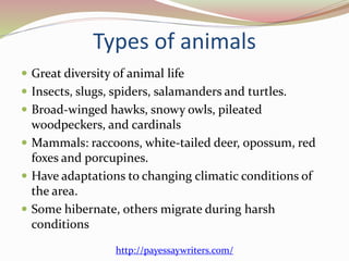 Types of animals
 Great diversity of animal life
 Insects, slugs, spiders, salamanders and turtles.
 Broad-winged hawks, snowy owls, pileated
woodpeckers, and cardinals
 Mammals: raccoons, white-tailed deer, opossum, red
foxes and porcupines.
 Have adaptations to changing climatic conditions of
the area.
 Some hibernate, others migrate during harsh
conditions
http://payessaywriters.com/
 