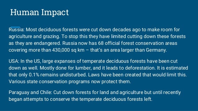 Temperate Deciduous Forest Period 3