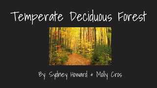 Temperate Deciduous Forest
By: Sydney Howard & Molly Cros
 