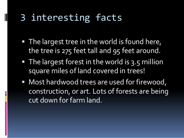 temperate deciduous biome paper Temperate deciduous forest biome essays: over 180,000 temperate deciduous forest biome essays, temperate deciduous forest biome term papers, temperate deciduous. temperate deciduous biome paper Temperate deciduous forest biome essays: over 180,000 temperate deciduous forest biome essays, temperate deciduous forest biome term papers, temperate deciduous.