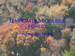 TEMPERATE DECIDUOUS
FOREST
FLORA AND FAUNA

 