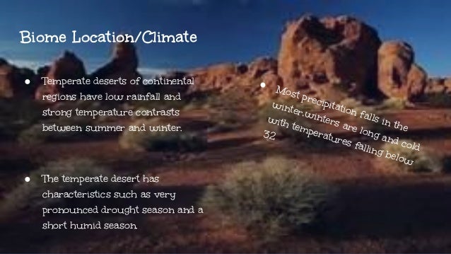 Temperate desert PERIOD 5 short block diagram 
