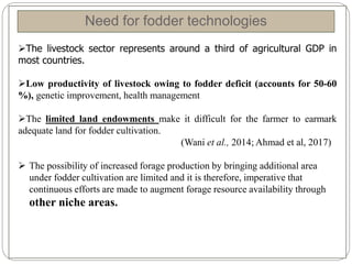 Through Fodder Temperate fodder production technologies | PPT