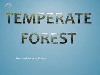 Temperate Forest Crawford, Jackson, Roziers 