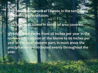 Temperate forest | PPTX