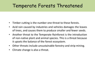 Temperate Forests Threatened
• Timber cutting is the number one threat to these forests.
• Acid rain caused by industries and vehicles damages the leaves
of trees, and causes them to produce smaller and fewer seeds.
• Another threat to the Temperate Rainforest is the introduction
of non-native plant and animal species. This is a threat because
it upsets the balance of the forest ecosystem.
• Other threats include unsustainable forestry and strip mining.
• Climate change is also a threat.
 