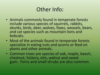 Animals commonly found in temperate forests include various species of squirrels, rabbits, skunks, birds, deer, wolves, foxes, weasels, bears, and cat species such as mountain lions and bobcats.Most of the animals found in temperate forests specialize in eating nuts and acorns or feed on plants and other animals.Common trees are species of oak, maple, beech, chestnut, hickory, elm, walnut and sweet gum.  Ferns and small shrubs are also common.Other Info: