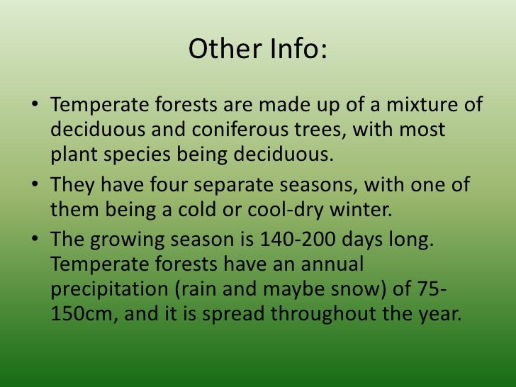 Temperate Forest Power Point