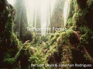 Temperate Forest.  ForestaTemperata By: Jake Davis & Jonathan Rodrigues 