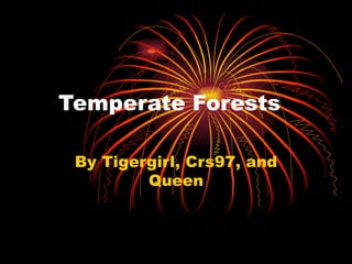 Temperate Forests By Tigergirl, Crs97, and Queen 