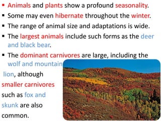  Animals and plants show a profound seasonality.
 Some may even hibernate throughout the winter.
 The range of animal size and adaptations is wide.
 The largest animals include such forms as the deer
and black bear.
 The dominant carnivores are large, including the
wolf and mountain
lion, although
smaller carnivores
such as fox and
skunk are also
common.
 