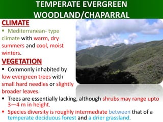 TEMPERATE EVERGREEN
WOODLAND/CHAPARRAL
CLIMATE
 Mediterranean- type
climate with warm, dry
summers and cool, moist
winters.
VEGETATION
 Commonly inhabited by
low evergreen trees with
small hard needles or slightly
broader leaves.
 Trees are essentially lacking, although shrubs may range upto
3—4 m in height.
 Species diversity is roughly intermediate between that of a
temperate deciduous forest and a drier grassland.
 