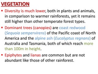 VEGETATION
 Diversity is much lower, both in plants and animals,
in comparison to warmer rainforests, yet it remains
still higher than other temperate forest types.
 Dominant trees (canopies) are coast redwood
(Sequoia sempervirens) of the Pacific coast of North
America and the alpine ash (Eucalyptus regnans) of
Australia and Tasmania, both of which reach more
than 100m in height.
 Epiphytes and lianas are common but are not
abundant like those of other rainforest.
 