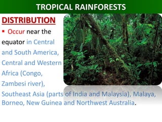 TROPICAL RAINFORESTS
DISTRIBUTION
 Occur near the
equator in Central
and South America,
Central and Western
Africa (Congo,
Zambesi river),
Southeast Asia (parts of India and Malaysia), Malaya,
Borneo, New Guinea and Northwest Australia.
 