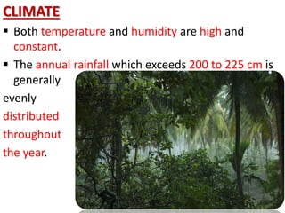 CLIMATE
 Both temperature and humidity are high and
constant.
 The annual rainfall which exceeds 200 to 225 cm is
generally
evenly
distributed
throughout
the year.
 
