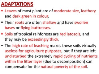 ADAPTATIONS
 Leaves of most plant are of moderate size, leathery
and dark green in colour.
 Their roots are often shallow and have swollen
bases or flying buttresses.
 Soils of tropical rainforests are red latosols, and
they may be exceedingly thick.
 The high rate of leaching makes these soils virtually
useless for agriculture purposes, but if they are left
undisturbed the extremely rapid cycling of nutrients
within the litter layer (due to decomposition) can
compensate for the natural poverty of the soil.
 