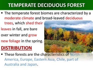 TEMPERATE DECIDUOUS FOREST
 The temperate forest biomes are characterized by a
moderate climate and broad-leaved deciduous
trees, which shed their
leaves in fall, are bare
over winter and grow
new foliage in the spring.
DISTRIBUTION
 These forests are the characteristics of North
America, Europe, Eastern Asia, Chile, part of
Australia and Japan.
 