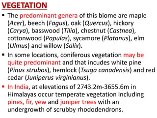 VEGETATION
 The predominant genera of this biome are maple
(Acer), beech (Fagus), oak (Quercus), hickory
(Carya), basswood (Tilia), chestnut (Castnea),
cottonwood (Populas), sycamore (Platanus), elm
(Ulmus) and willow (Salix).
 In some locations, coniferous vegetation may be
quite predominant and that incudes white pine
(Pinus strubos), hemlock (Tsuga canadensis) and red
cedar (Juniperus virginianus).
 In India, at elevations of 2743.2m-3655.6m in
Himalayas occur temperate vegetation including
pines, fir, yew and juniper trees with an
undergrowth of scrubby rhododendrons.
 
