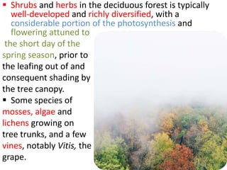  Shrubs and herbs in the deciduous forest is typically
well-developed and richly diversified, with a
considerable portion of the photosynthesis and
flowering attuned to
the short day of the
spring season, prior to
the leafing out of and
consequent shading by
the tree canopy.
 Some species of
mosses, algae and
lichens growing on
tree trunks, and a few
vines, notably Vitis, the
grape.
 