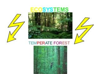 ECOSYSTEMS
TEMPERATE FOREST
 